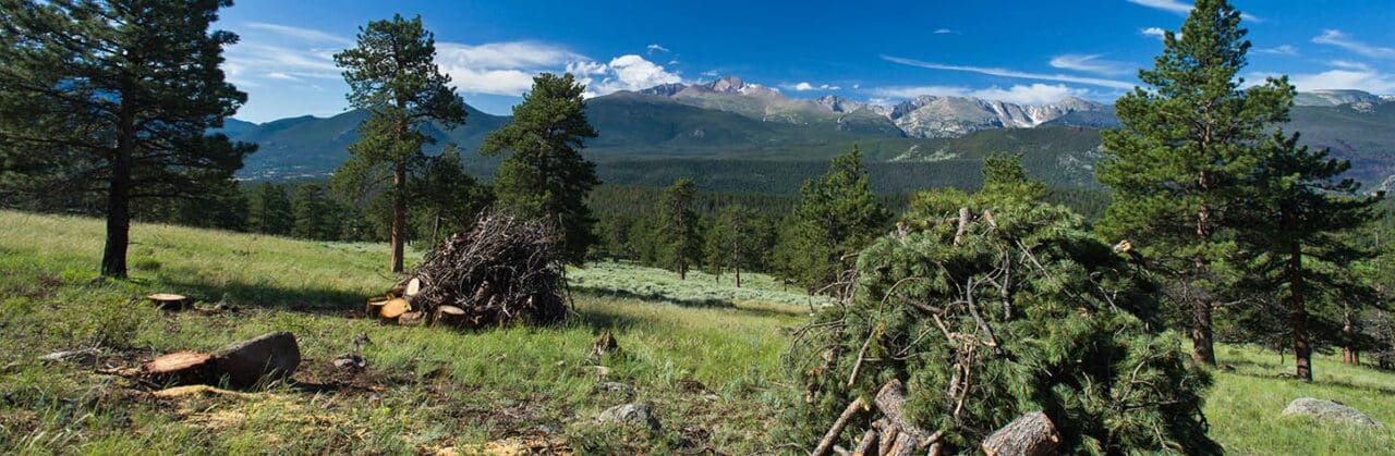 State Forest Service Wildfire Mitigation Grant Open