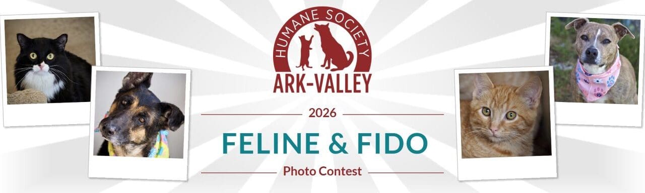 Submit Your Pet’s Photo for Calendar Sept. 27th-Oct. 11th