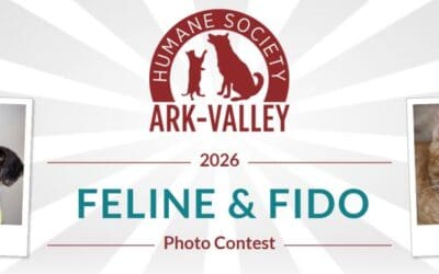 Submit Your Pet’s Photo for Calendar Sept. 27th-Oct. 11th