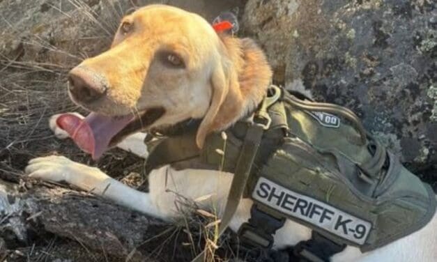 County K9 Aids in Search of Lost Children