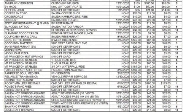 Leftover Radio Auction Items
