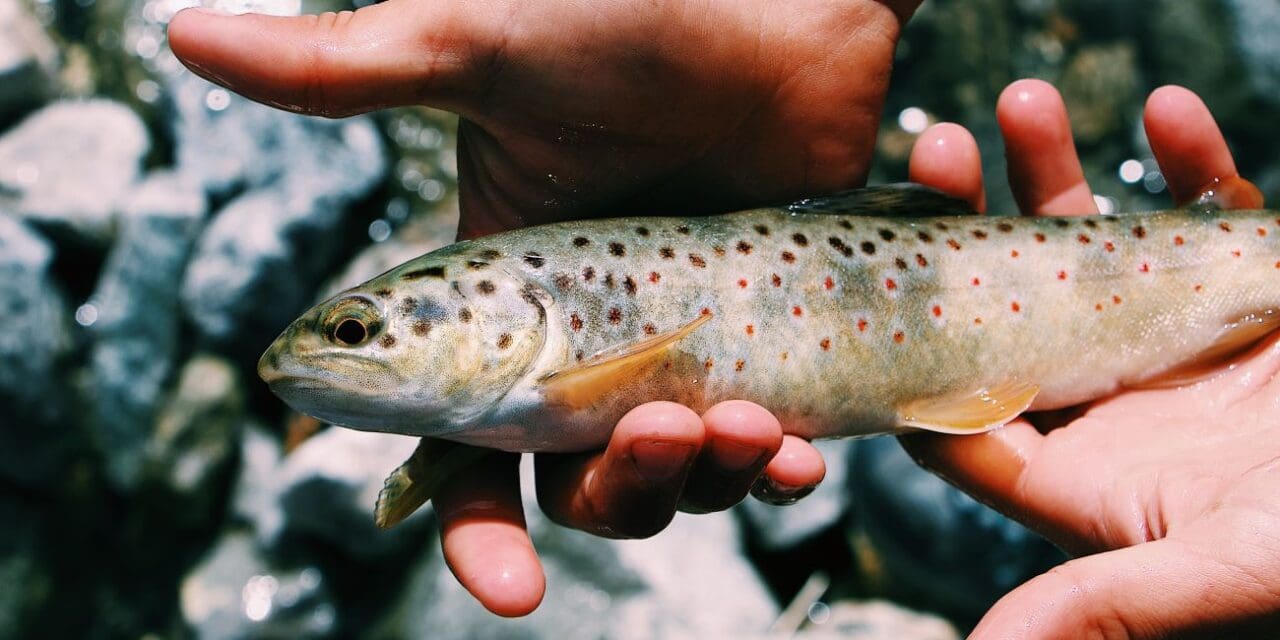 Kid’s Fishing Derby in BV Saturday
