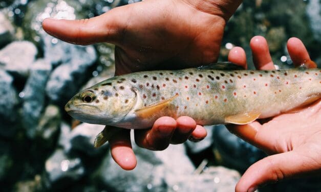Kid’s Fishing Derby in BV Saturday