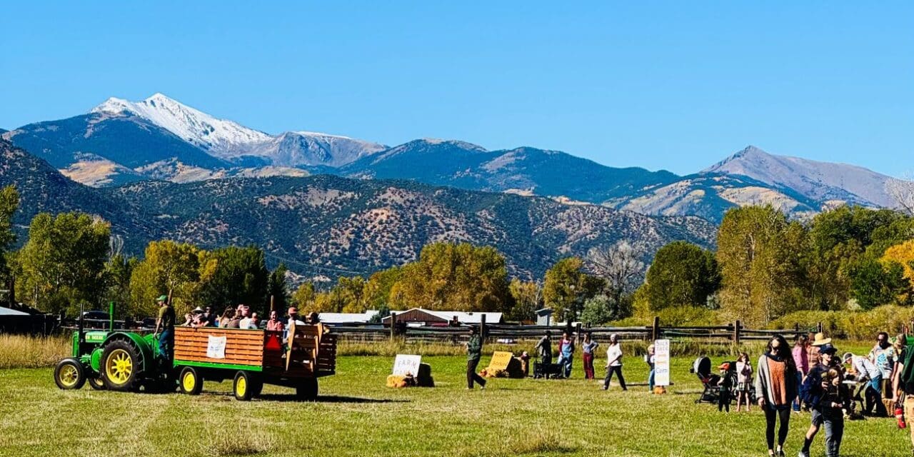 Harvest Festival Wraps Up This Weekend