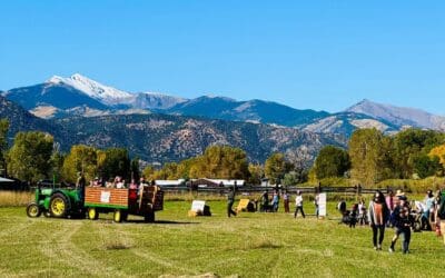 Harvest Festival Wraps Up This Weekend
