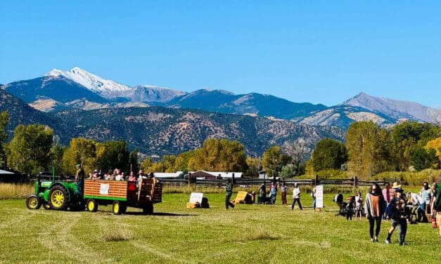 Pumpkins, Tractor Rides, Delicious Snacks and More at the Guidestone Harvest Festival