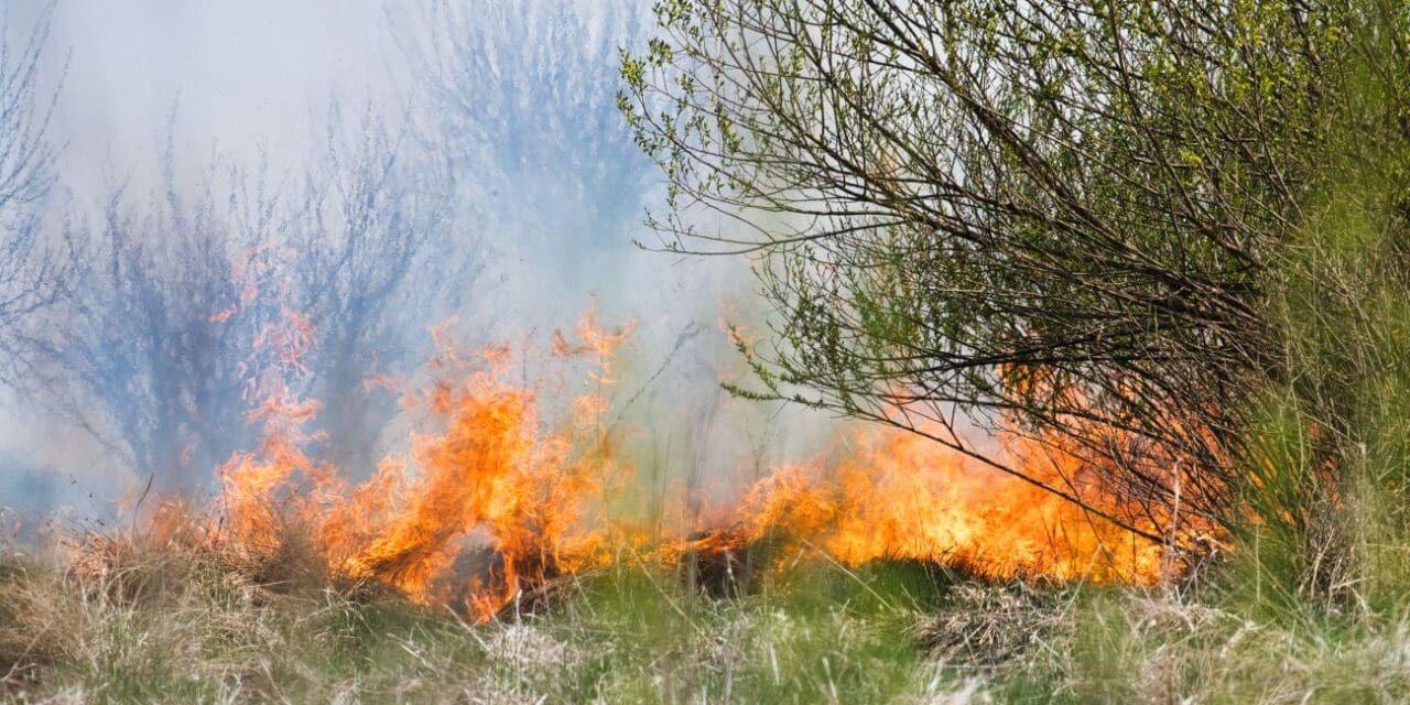 Prescribed Burn Happening Wednesday