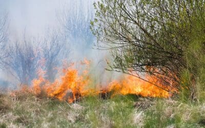 Prescribed Burn Happening Wednesday