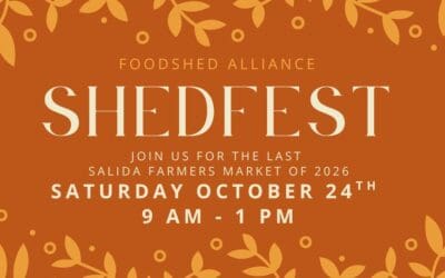 Shedfest is Tomorrow