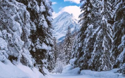 Cottonwood Pass Closes Monday